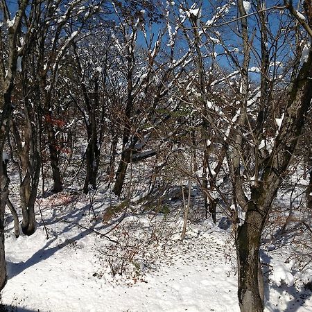 Myoko Kogen Pension Yamasan Bagian luar foto