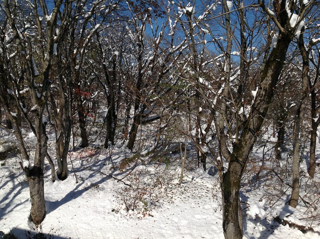 Myoko Kogen Pension Yamasan Bagian luar foto