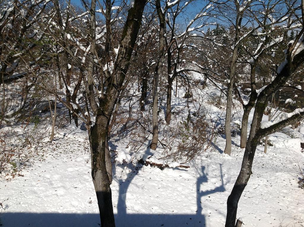 Myoko Kogen Pension Yamasan Bagian luar foto